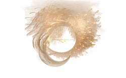 Apo7x-140322-3 p-white.jpg